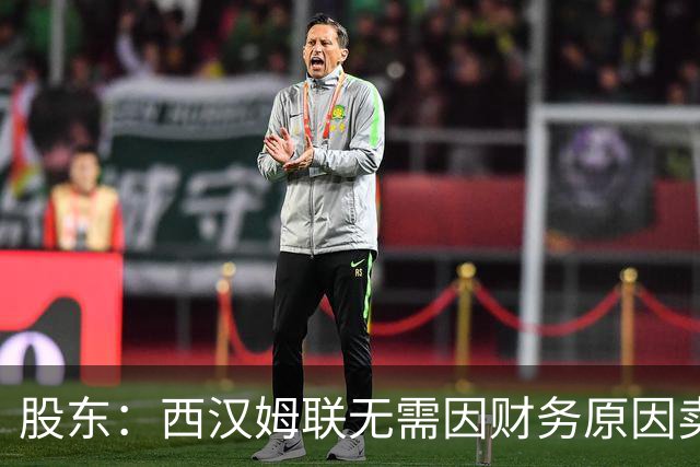 股东：西汉姆联无需因财务原因卖核心球员，要以最快速度重返英超
